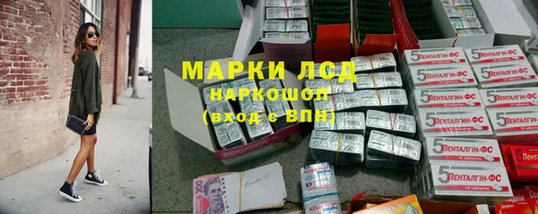 apvp Вяземский