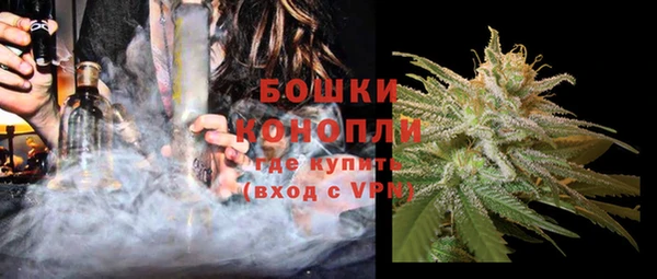 apvp Вяземский
