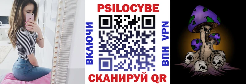 Псилоцибиновые грибы Psilocybe  Ейск 